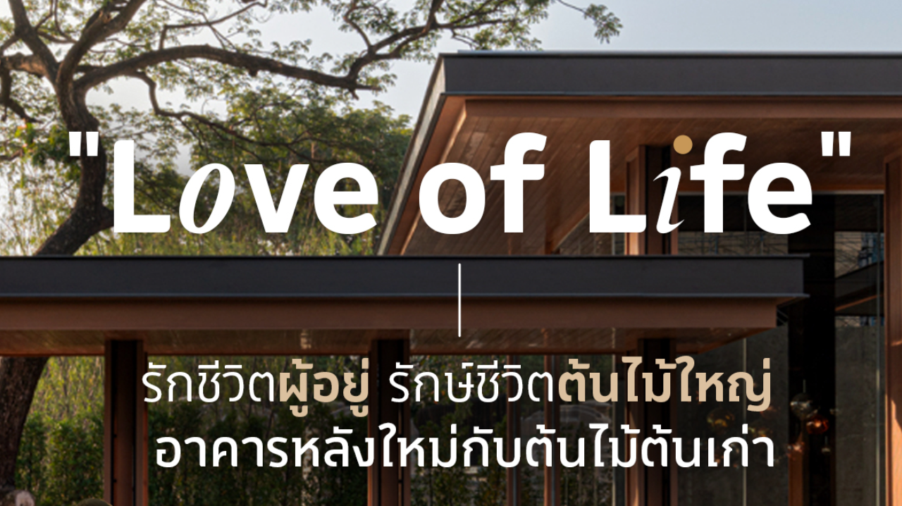 "Love of Life" รักชีวิตผู้อยู่ รักษ์ชีวิตต้นไม้ใหญ่ อาคารหลังใหม่กับต้นไม้ต้นเก่า