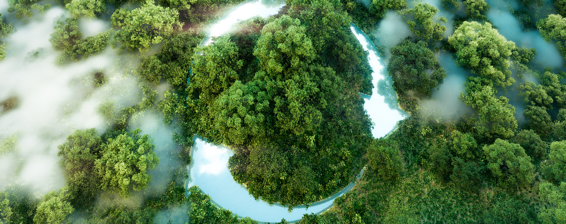 Big Tree Conservation Project