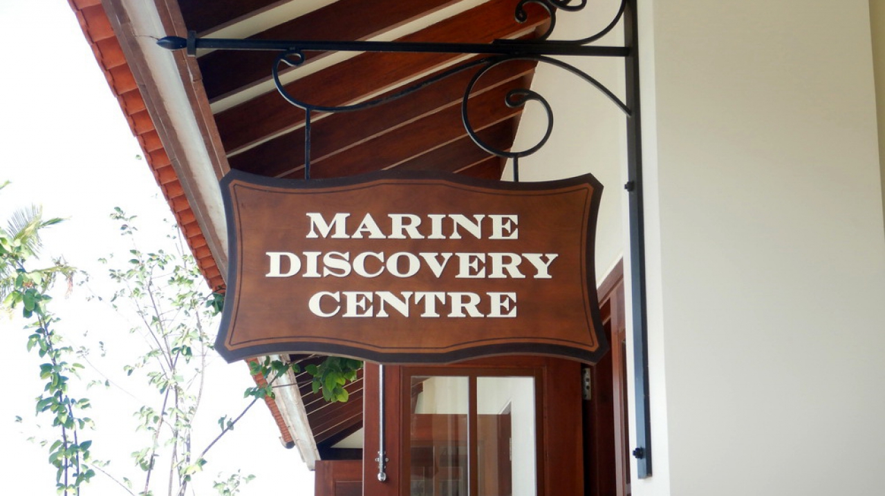 5 Zones to Educate You About Marine Life at Marine Discovery Centre