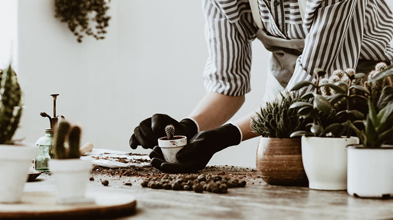 4 Ways to Reboot Your Brain & Refresh Yourself