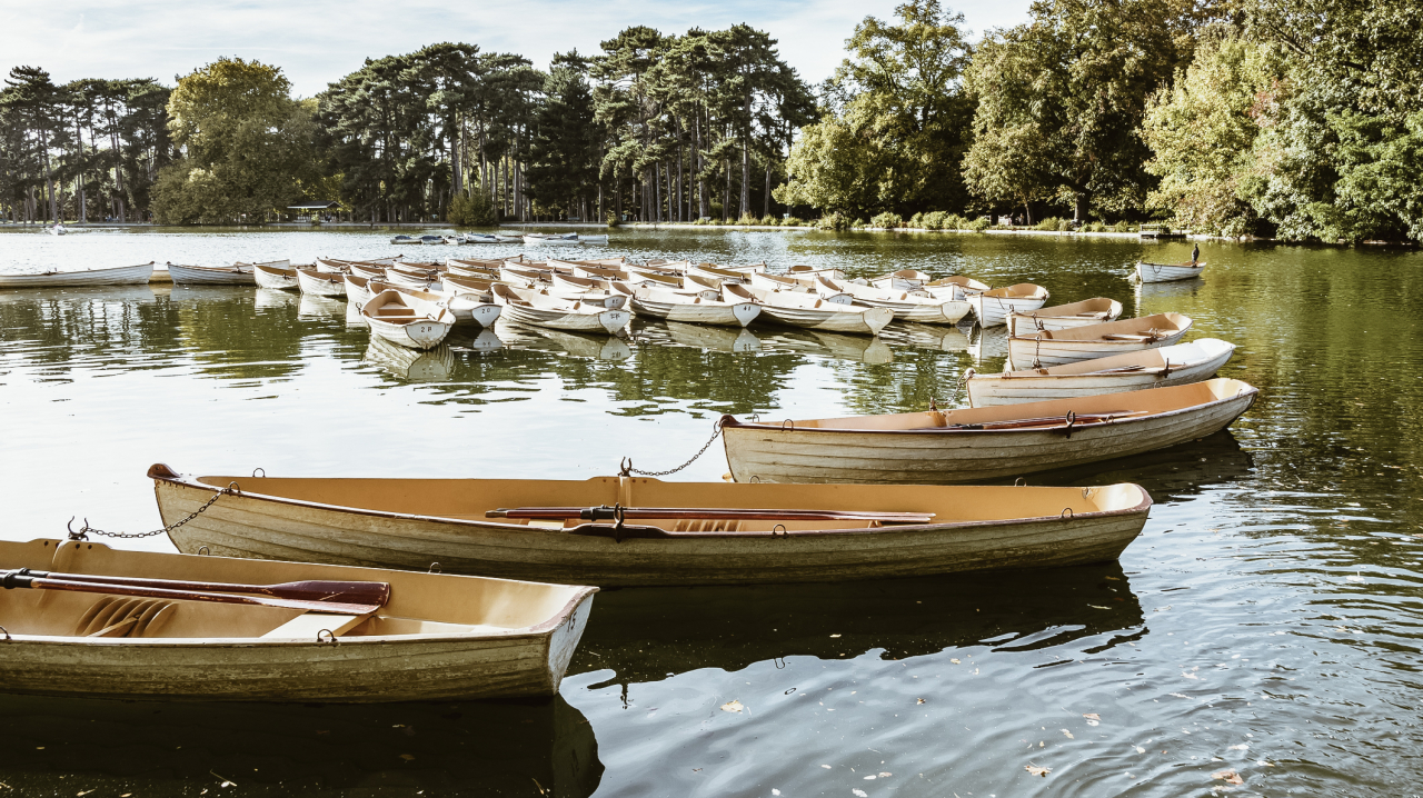 Living by Green Spaces Can Boost Body and Soul