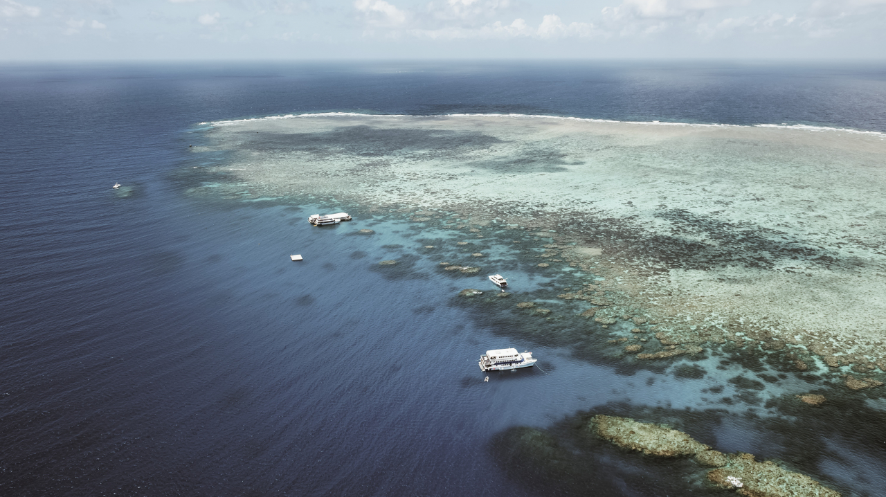 Let's Explore the 5 Wonders of the Underwater World