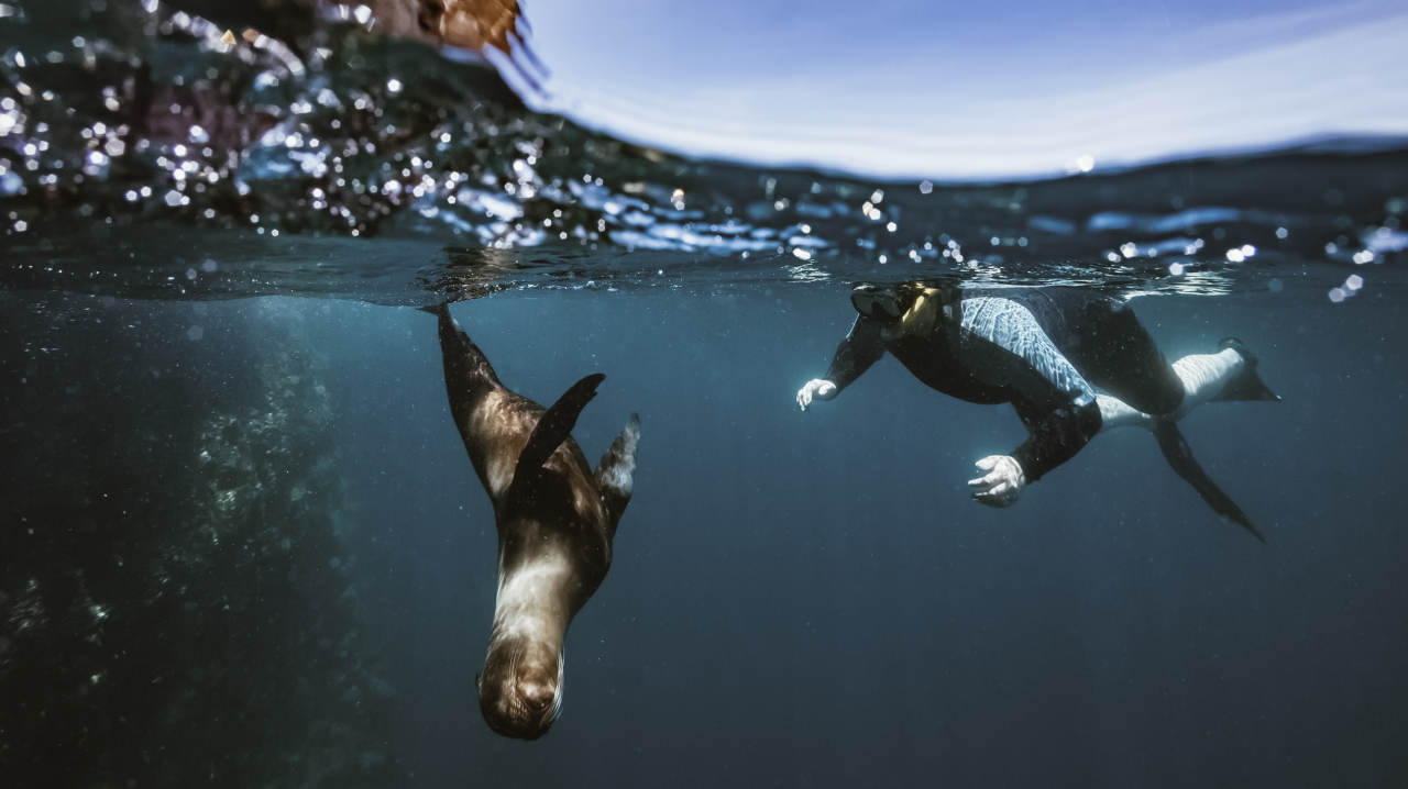 Let's Explore the 5 Wonders of the Underwater World