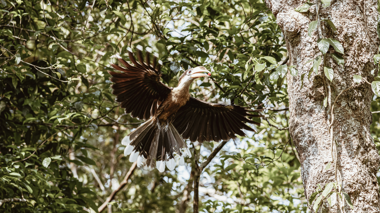 Discover 5 Breathtaking Natural Sights in Thailand