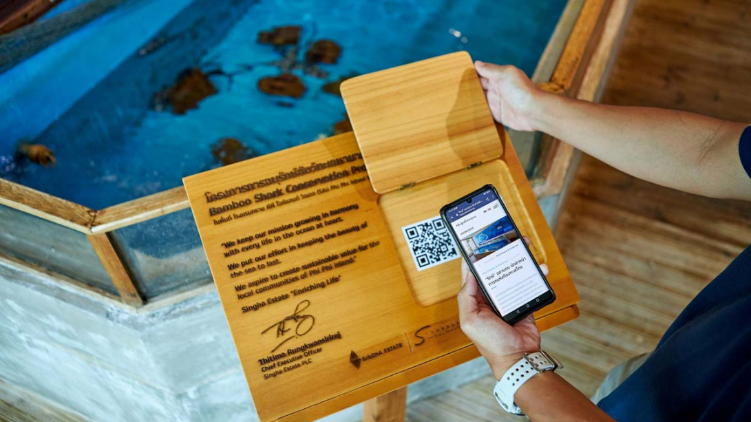 Singha Estate Collaborates with Phuket Marine Biological Center to Run Sustainable Bamboo Shark Conservation Project at Marine Discovery Centre in Phi Phi Islands